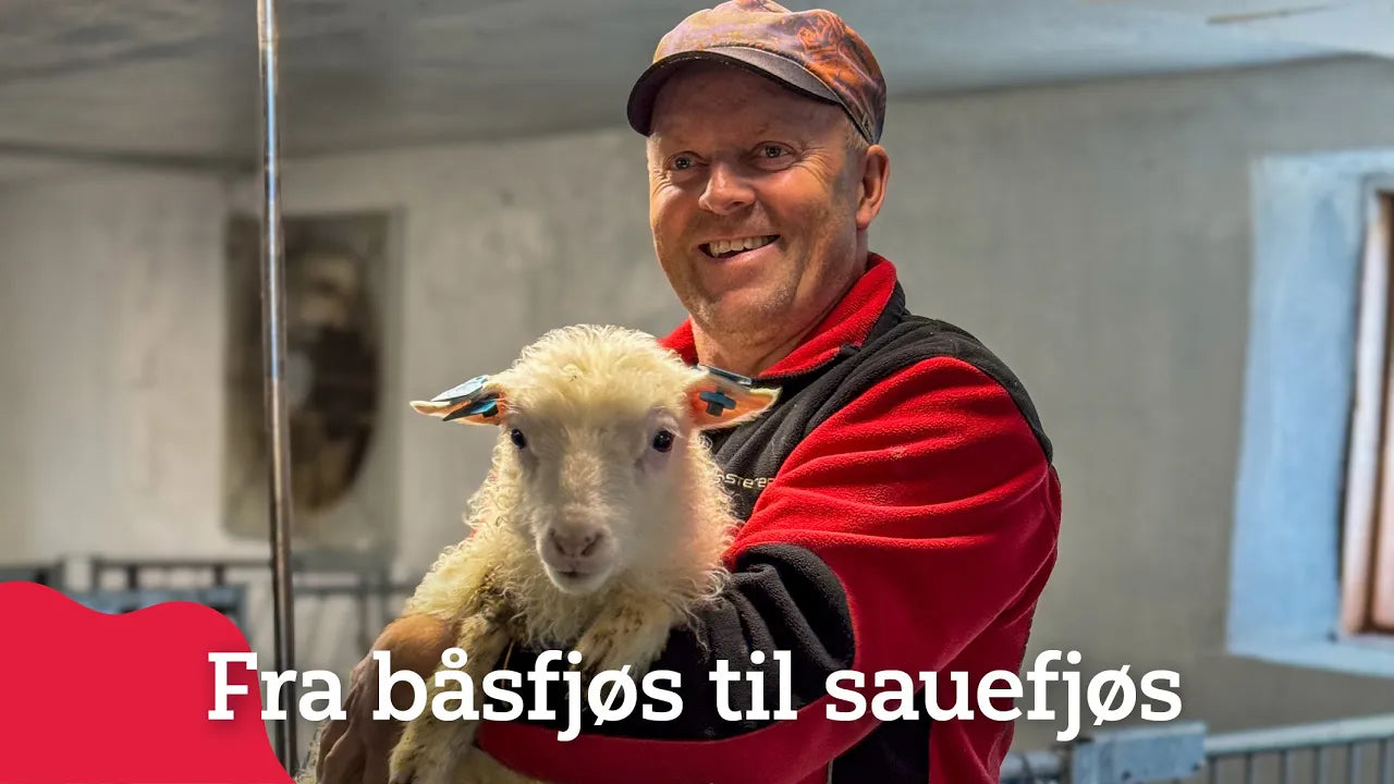 Indlæs video: Videocase